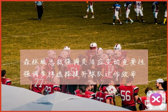 森林狼总裁强调灵活应变的重要性强调多样选择提升球队运作效率